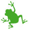 ○珈琲 Yu-A(ゆーあ)-6月のご挨拶