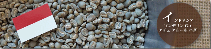 インドネシアマンデリンG-1アチェアルールバダ