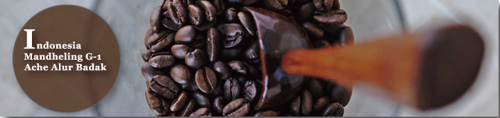 インドネシアマンデリンG-1アチェアルールバダ