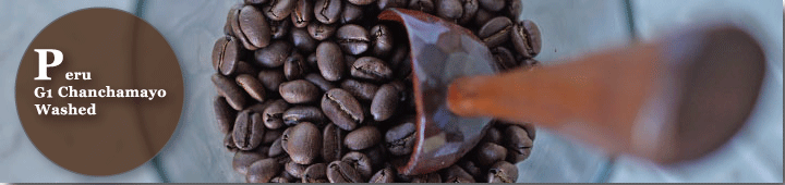 ペルーG1チャンチャマヨウオッシュド