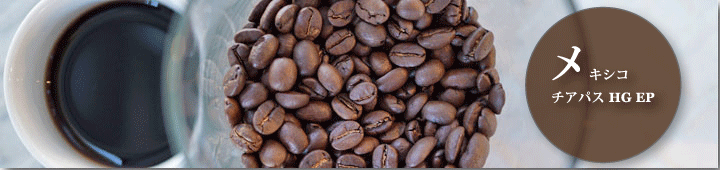 メキシコチアパスSHGEP