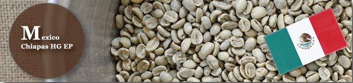 メキシコチアパスSHGEP