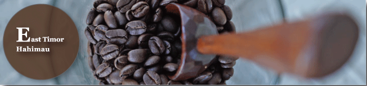 東ティモールハヒマウ