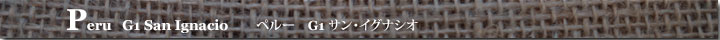 ペルーG1サン・イグナシオ