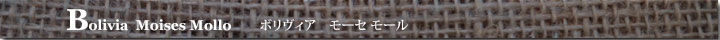 ボリヴィアモーセモール