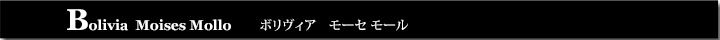 ボリヴィアモーセモール
