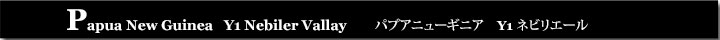 パプアニューギニアY1ネビリエール