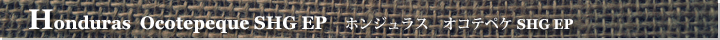 ホンジュラスオコテペケSHGEP