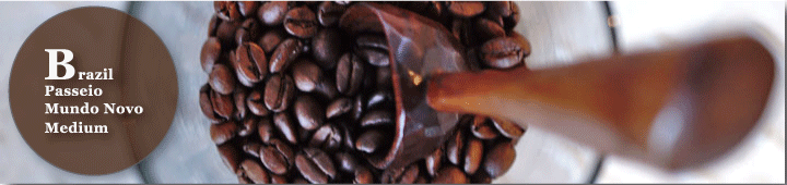 ブラジルパッセイオ農園ムンドノーヴォミディアム