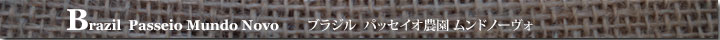 ブラジルパッセイオ農園ムンドノーヴォ