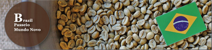 ブラジルパッセイオ農園ムンドノーヴォ