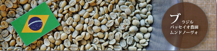 ブラジルパッセイオ農園ムンドノーヴォ