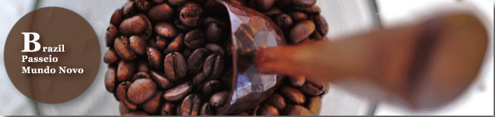 ブラジルパッセイオ農園ムンドノーヴォ