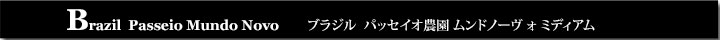 ブラジルパッセイオ農園ムンドノーヴォ