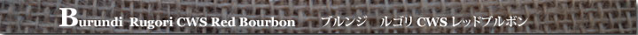 ブルンジルゴリCWSレッドブルボン