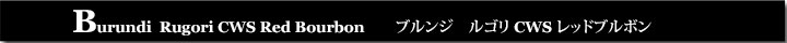 ブルンジルゴリCWSレッドブルボン
