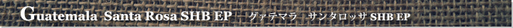 グァテマラサンタロッサSHBEP