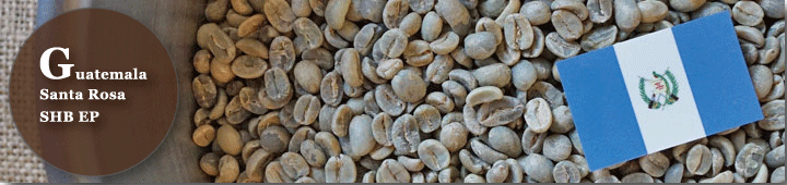グァテマラサンタロッサSHBEP