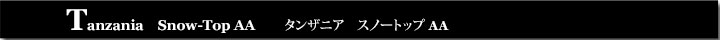 タンザニアスノートップAA