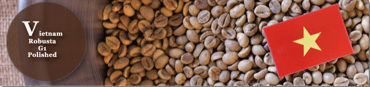 ヴェトナムロブスタG1ポリッシュド